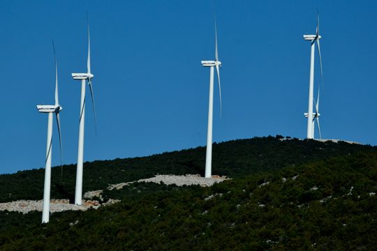 anemogenitries